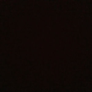 Meet your Posher, Kylie